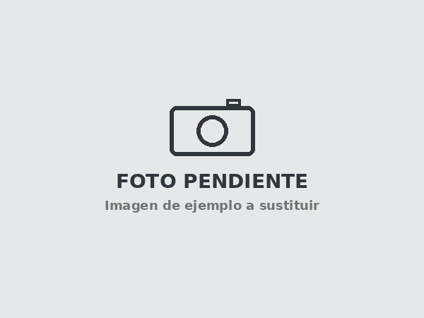 Modelo de chapadora (imagen de ejemplo, pendiente de sustituir)